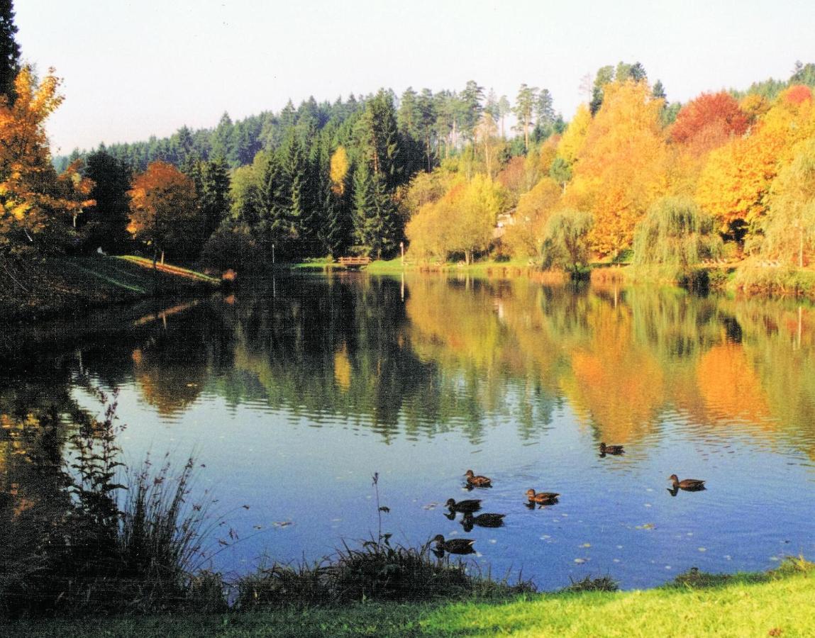 Hotel Breitenbacher Hof Waldachtal Kültér fotó
