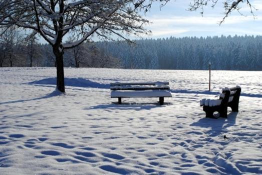 Hotel Breitenbacher Hof Waldachtal Kültér fotó